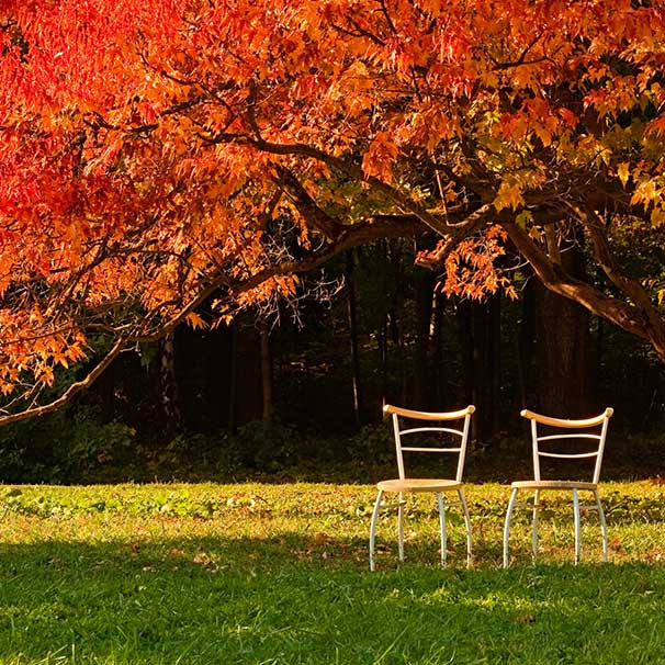 Coaching Essen-Werden