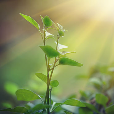 Coaching Essen-Werden