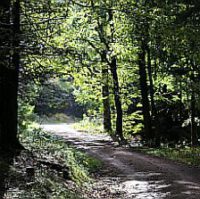 Auszeit Coaching Essen-Werden