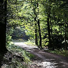 Auszeit Coaching Essen-Werden